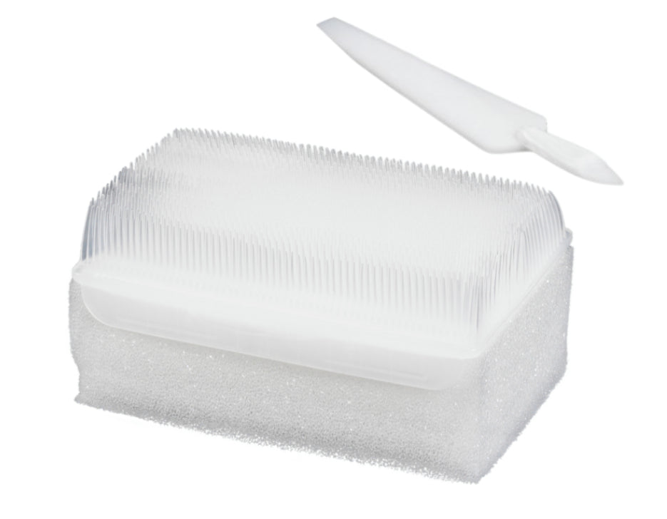 Brosse chirurgicale stérile